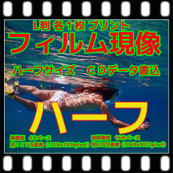 　ハーフフィルム現像+L版各1枚プリント+インデックス１枚+ＣＤ書込（高解像度16B）激安フジカラー純正薬品