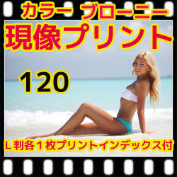 中判カメラ　ブローニーカラーフィルム現像+各1枚プリント+インデックス　2B判　（現像済みからでも同料金で可能です）