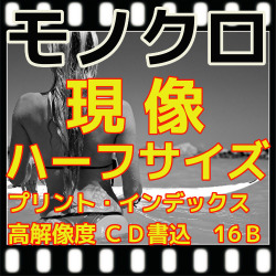 ハーフ　モノクロフィルム現像（Ｂ＆Ｗ現像）+L版各1枚プリント+インデックス１枚+ＣＤ書き込み(高解像度16B)
