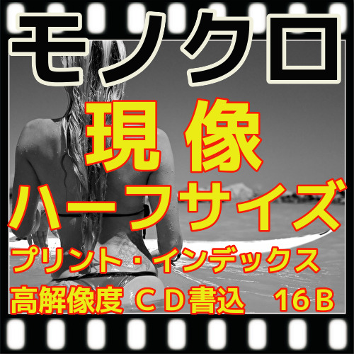 ハーフ　モノクロフィルム現像（Ｂ＆Ｗ現像）+L版各1枚プリント+インデックス１枚+ＣＤ書き込み(高解像度16B)