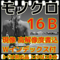 モノクロフィルム現像+インデックス１枚+ＣＤデータ書込(高解像度16B)35/120共通（Ｂ＆Ｗ現像）