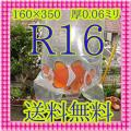 R 16　50枚　丸底ビニール袋 　　送料無料