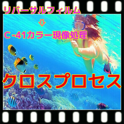 クロスプロセスフィルム現像+L版各1枚プリント+インデックス35ミリ/120共通