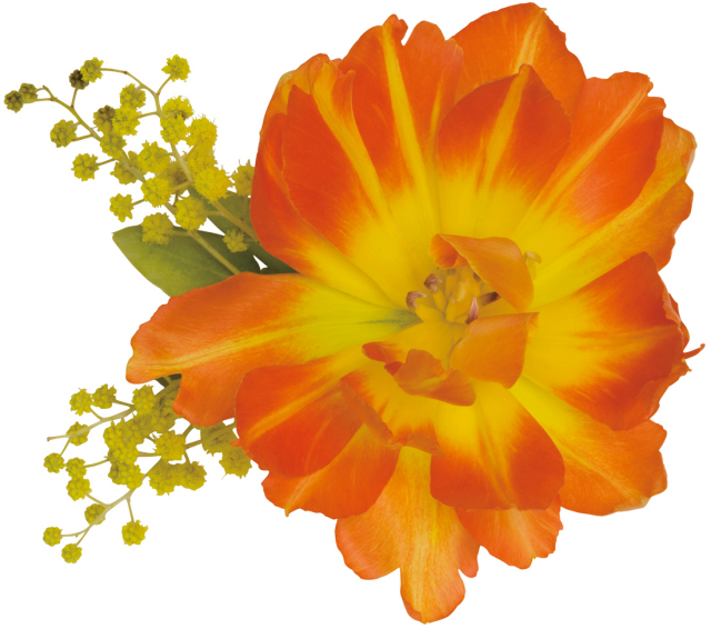 オーダーメイドフラワー【1】