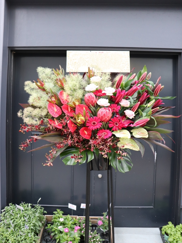 Loi design スターフルーツと花　10周年記念限定品 Loi design スターフルーツと花 10周年記念限定品