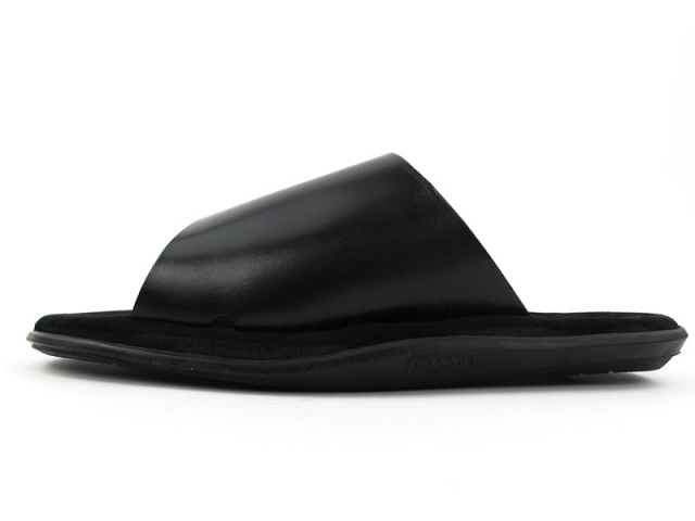 サザンアイランド 0000079285037.jpg