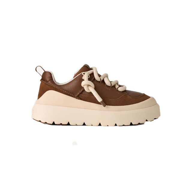 DCP(dark chestnut / whitecap)