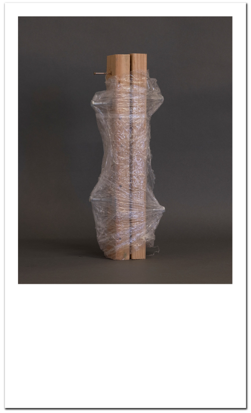 レナード・スミス写真集: LENARD SMITH: MELANCHOLY OBJECTS