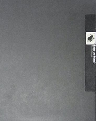 中藤毅彦写真集 : TAKEHIKO NAKAFUJI : ENTER THE MIRROR