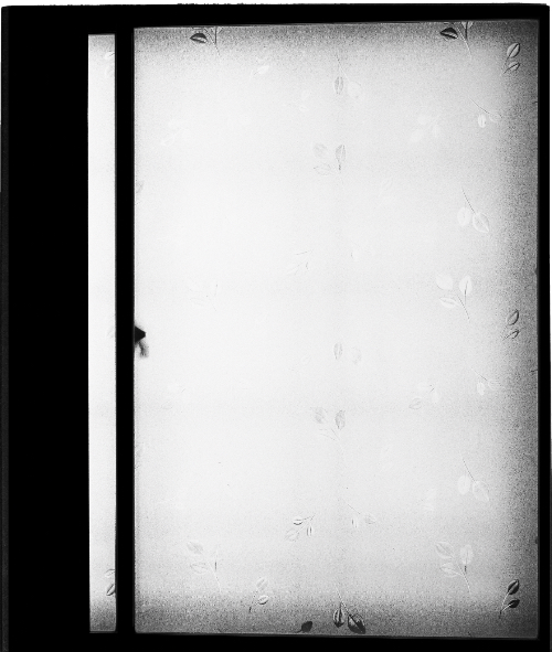 【古本】アヴォイスカ・ヴァン・デル・モーレン 写真集: Awoiska van der Molen: The Humanness of Our Lonely Selves