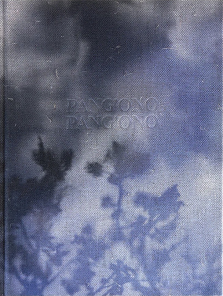 ローラ・エル＝タンタウィ写真集: LAURA EL-TANTAWY: PANG'ONO PANG'ONO 【サイン入】