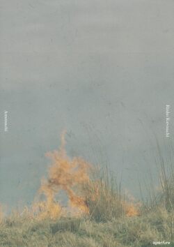 【古本】川内倫子 写真集: あめつち: RINKO KAWAUCHI: AMETSUCHI
