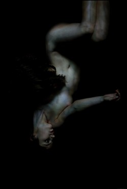 【古本】ビル・ヘンソン写真集 : BILL HENSON
