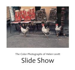 【古本】ヘレン・レヴィット 写真集: SLIDE SHOW: THE COLOR PHOTOGRPHS OF HELEN LEVITT