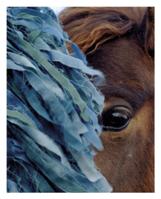 シャルロット・デュマ写真集: CHARLOTTE DUMAS: AO (BLUE)