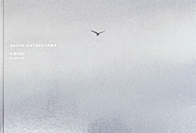 古本】畠山直哉 写真集: NAOYA HATAKEYAMA: A BIRD: BLAST #130