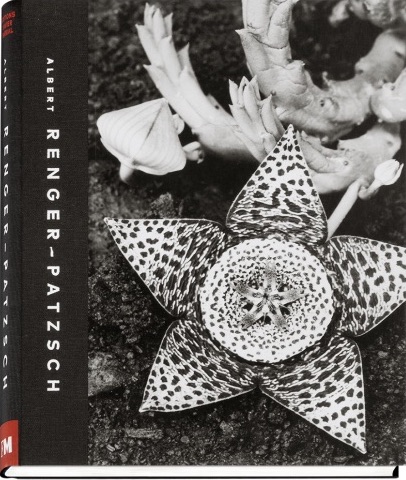 アルベルト・レンガー＝パッチュ写真集: ALBERT RENGER-PATZSCH