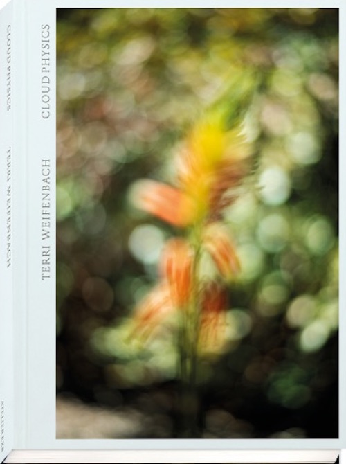 テリ・ワイフェンバック写真集: TERRI WEIFENBACH: CLOUD PHYSICS