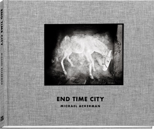 HALF LIFE Michael Ackerman 写真集 フランス語版 HALF LIFE Michael