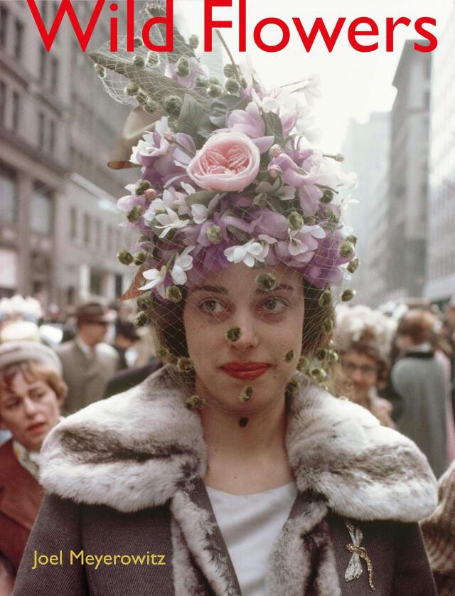 ジョエル・マイヤーウィッツ写真集: JOEL MEYEROWITZ: WILD FLOWERS