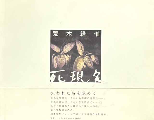 死現実　荒木経惟　Nobuyoshi Araki　帯付き 古本】荒木経惟 写真集: 死現実: NOBUYOSHI ARAKI: