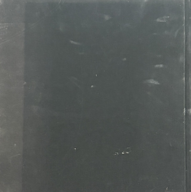 古本】ウィリアム・エグルストン写真集: WILLIAM EGGLESTON: THE