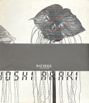 古本】荒木経惟 写真集: 愛の花: NOBUYOSHI ARAKI: Ai no Hana