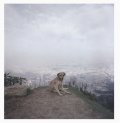 【古本】アレック・ソス写真集: ALEC SOTH: DOG DAYS BOGOTA 【サイン入】