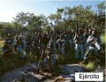 プーリア・コジャステハペイ 編集写真集: POURIA KHOJASTEHPAY: CUATRO LETRAS