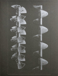 バティア・スーター 作品集: BATIA SUTER: La Nonpareille / The Incomparable