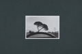 【古本】JOEL MEYEROWITZ: DAIDO MORIYAMA: JOHN DIVOLA: PICTURES FROM MOVING CARS