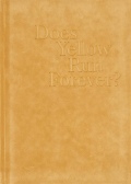 【古本】ポール・グラハム 写真集: PAUL GRAHAM: DOES YELLOW RUN FOREVER?