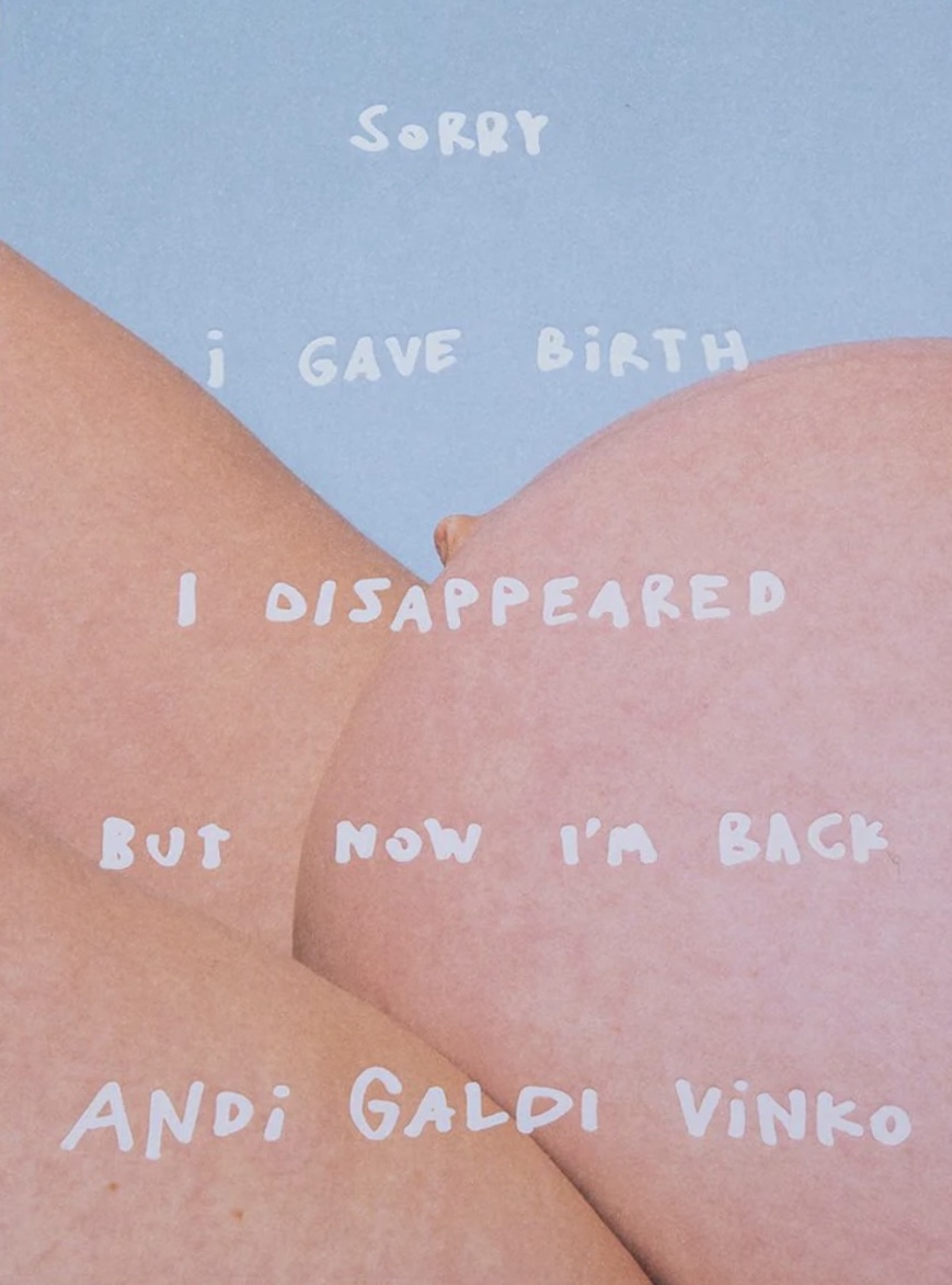 アンディ・ガルディ・ヴィンコ 写真集: ANDI GALDI VINKO: SORRY I GAVE BIRTH I DISAPPEARED BUT NOW I'M BACK