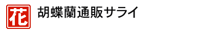 胡蝶蘭通販サライ