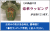 豪華ラッピングが付いています