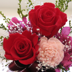 プリザーブドフラワー　ギフト　フランボワーズ