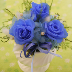 プリザーブドフラワー　ギフト　マリン