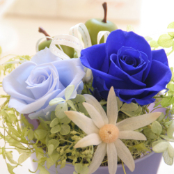 プリザーブドフラワー　ギフト　Raffine(ラフィネ）