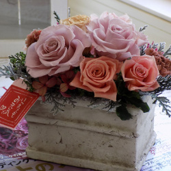 プリザーブドフラワー　 ロマンス　