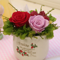 プリザーブドフラワー　ギフト　スィートベリー　・ケース付【送料無料】