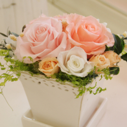 プリザーブドフラワー　ギフト　シャイン