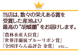 当店の胡蝶蘭は、栄えある賞を受賞した産地の最高級胡蝶蘭を取り扱っています。