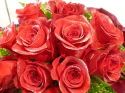 レア！！ラメ付き赤バラの花束【5H-1101】