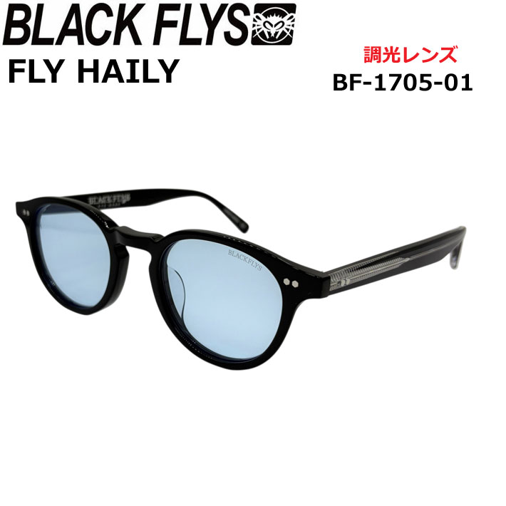 BLACK FLYS サングラス [BF-1705-01] ブラックフライ FLY HAILY フライ ヘイリー PHOTOCHROMIC LENS 調光レンズ 調光 ジャパンフィット 