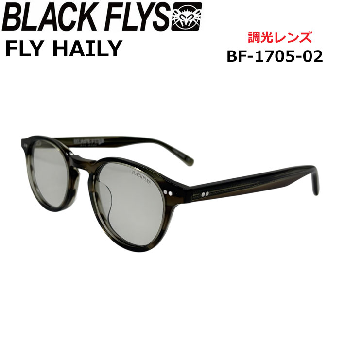 BLACK FLYS サングラス [BF-1705-02] ブラックフライ FLY HAILY フライ ヘイリー PHOTOCHROMIC LENS 調光レンズ 調光 ジャパンフィット 