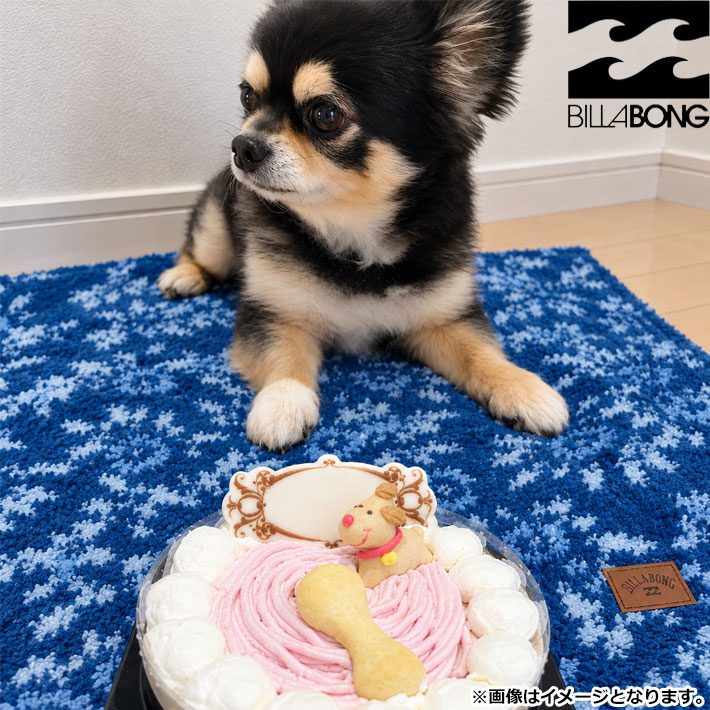 26 ドッグブランケット ブランケット 犬用 ふわふわ DOG BLANKET [BG014985D] サーフブランド ビラボン 小型犬 秋冬 暖かい 防寒対策 アウトドア BILLABONG DOG WEAR