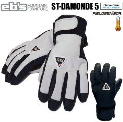 [メール便発送商品] 25-26 eb's スノーボード ST-DAMONDE 5 エスティダモンファイブグローブ 4500025 エビス 5-FINGER グローブ ebs ファイブフィンガー