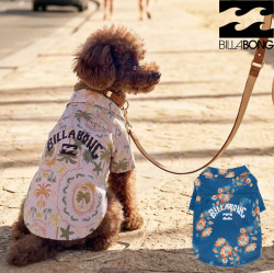 26 ドッグウエア 犬用 アロハシャツ [BG013984D] サーフブランド ビラボン 小型犬 服 春夏 着せやすい 紫外線対策 BILLABONG ALOHA DOG [メール便発送商品]