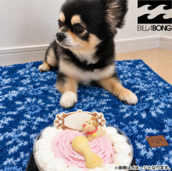26 ドッグブランケット ブランケット 犬用 ふわふわ DOG BLANKET [BG014985D] サーフブランド ビラボン 小型犬 秋冬 暖かい 防寒対策 アウトドア BILLABONG DOG WEAR