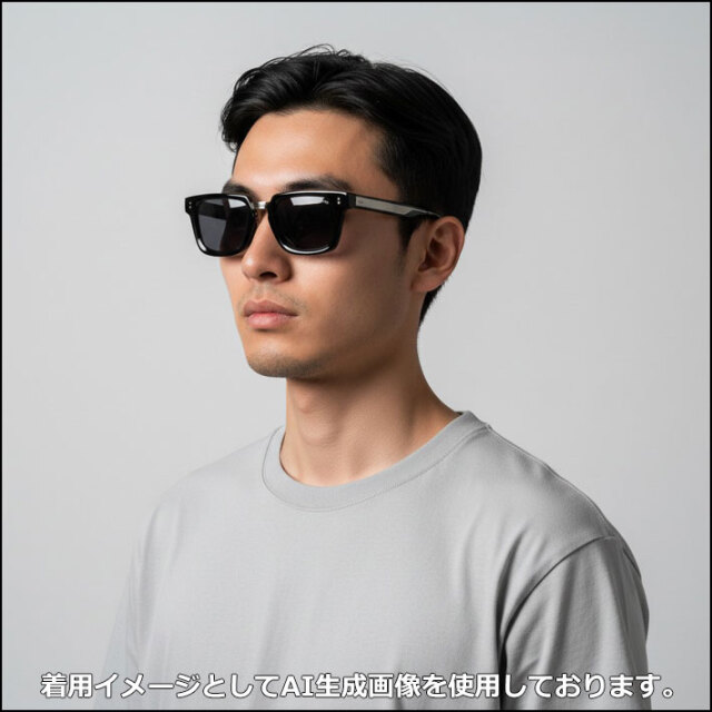 BLACK FLYS サングラス [BF-15036-01] ブラックフライ FLY WEBSTER
